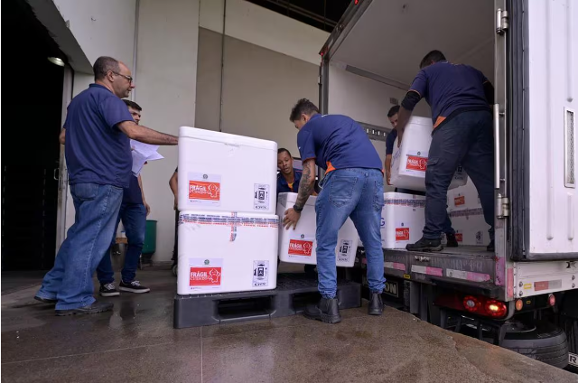 Central Estadual de Rede Frio de Minas Gerais recebe primeiro lote de vacina contra a dengue