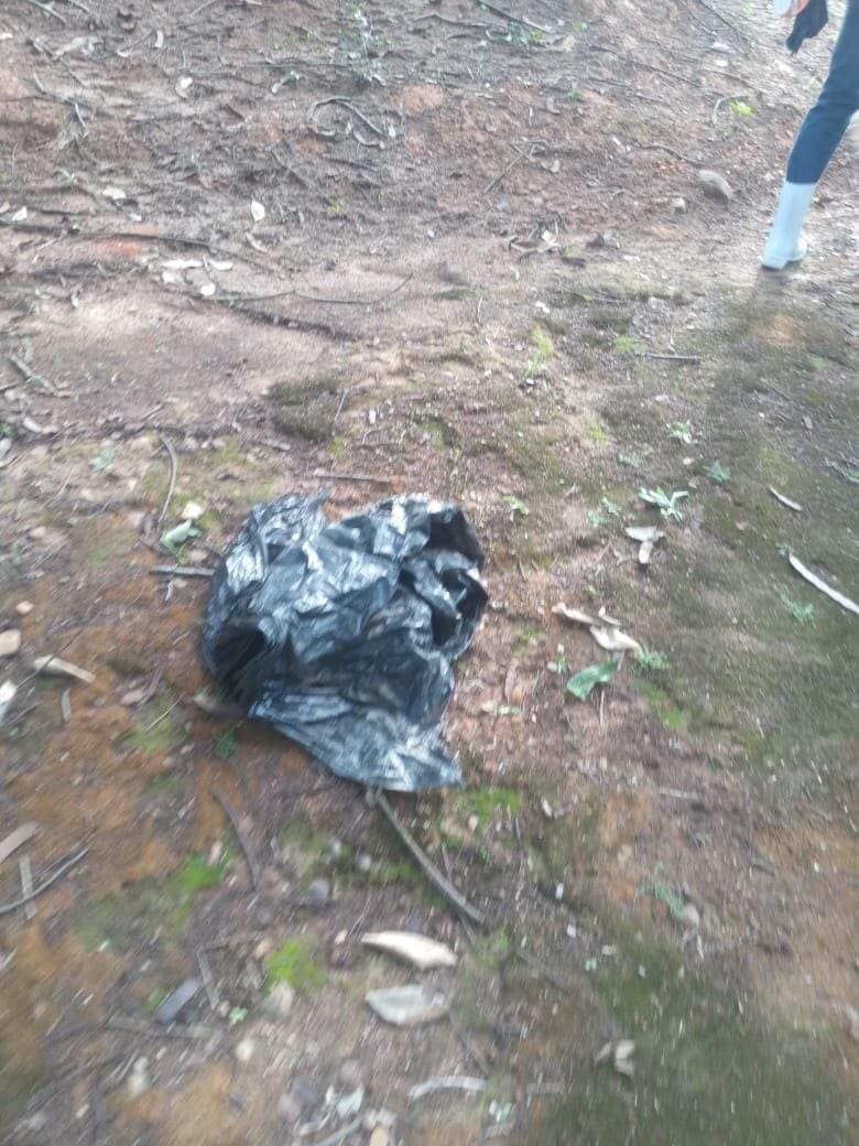 Bebê foi encontrado próximo a uma linha férrea no bairro Marimbá, na região do Vianópolis, em Betim, estava dentro de um saco plástico, ainda ligado à placenta