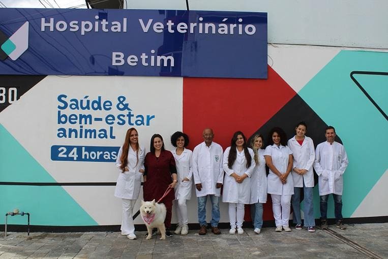 Especializado. Equipe do Hospital Veterinário Betim é formada por profissionais qualificados, que seguem à risca técnicas atualizadas