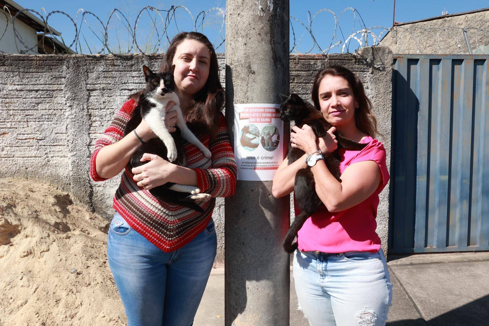 Eide Márcia Nunes e Ana Flávia Lima afirmam que seus gatos morreram após terem sido envenenados