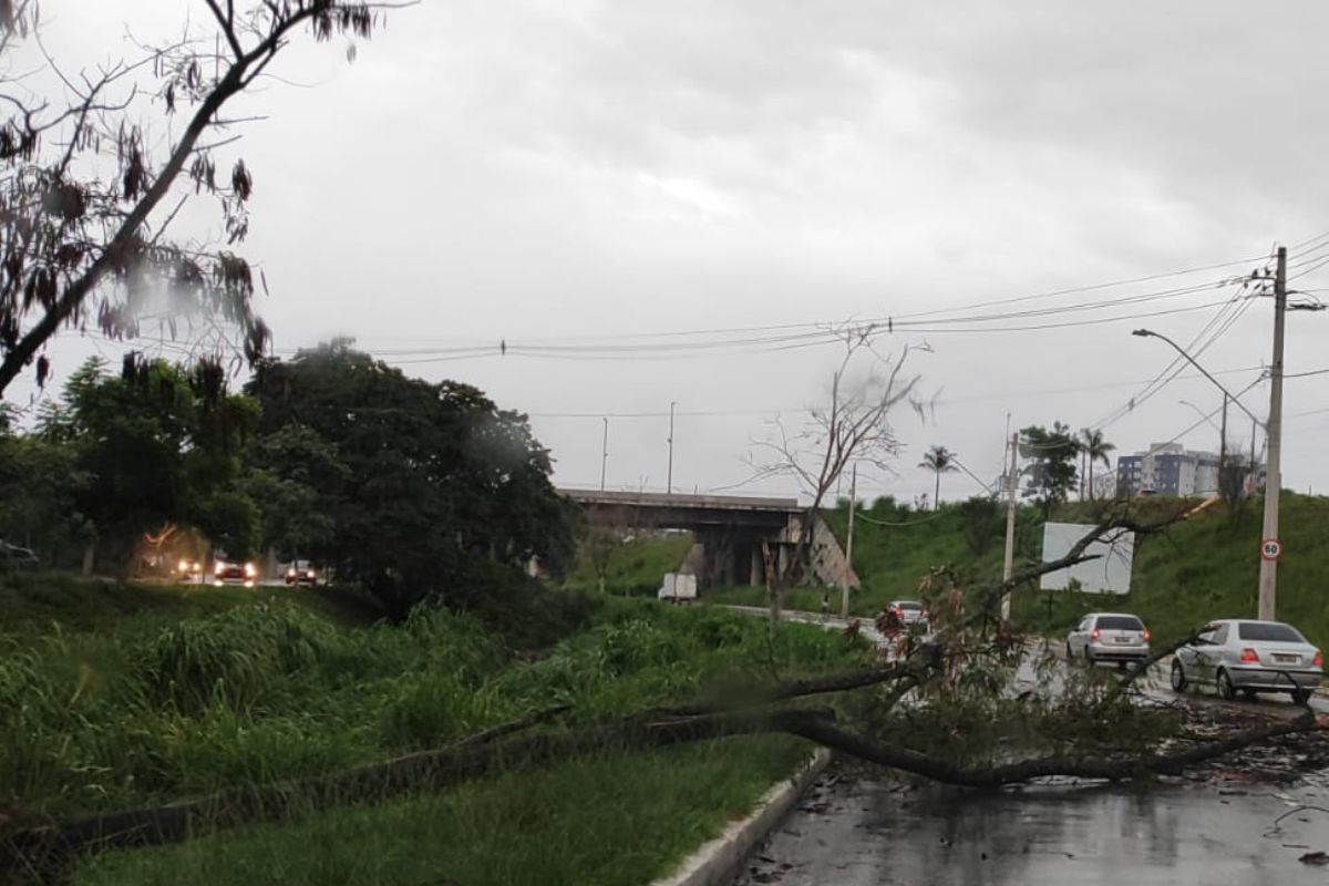 Maior volume de chuva deve ser neste sábado (21)