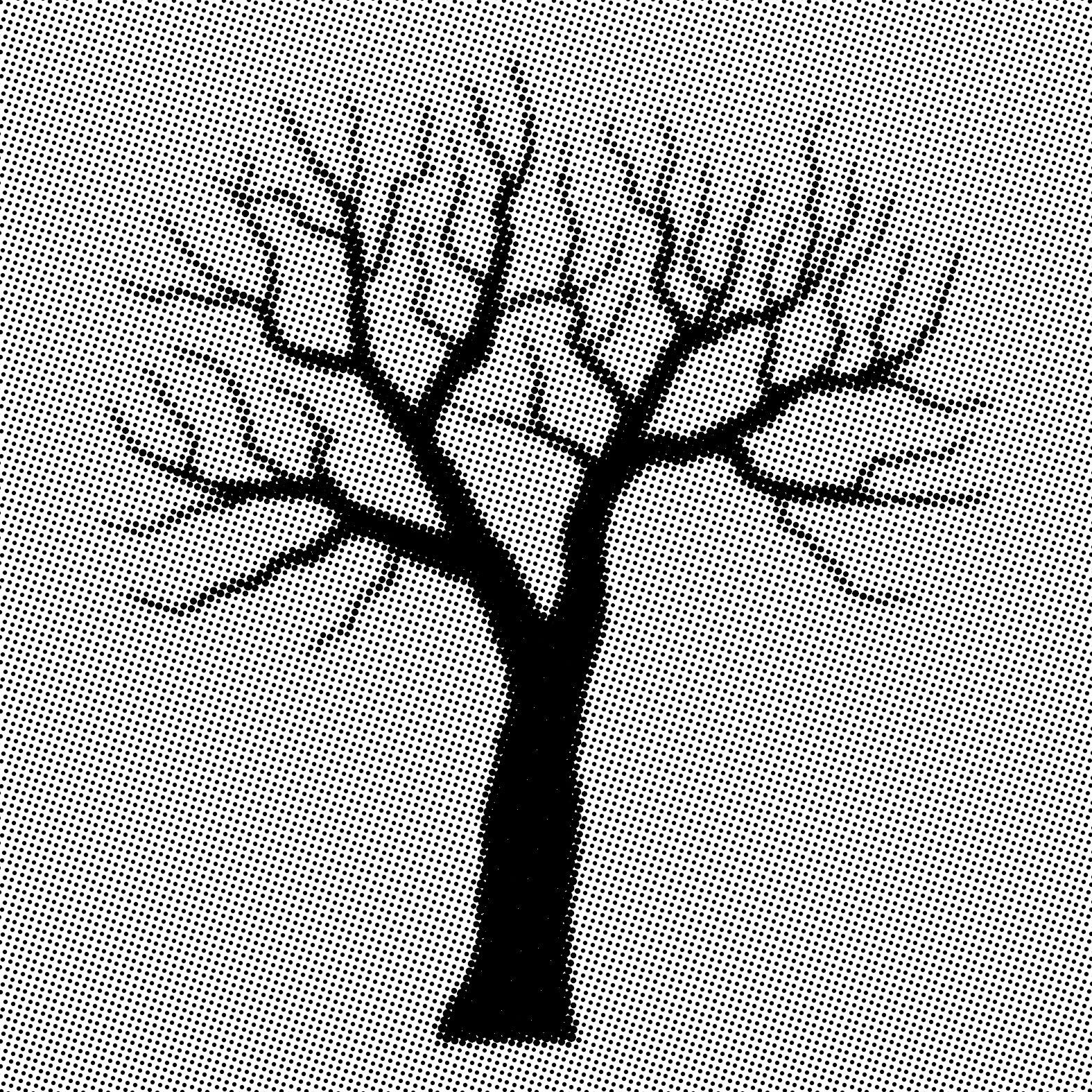 Árvore seca é símbolo da luta contra o preconceito à hanseníase