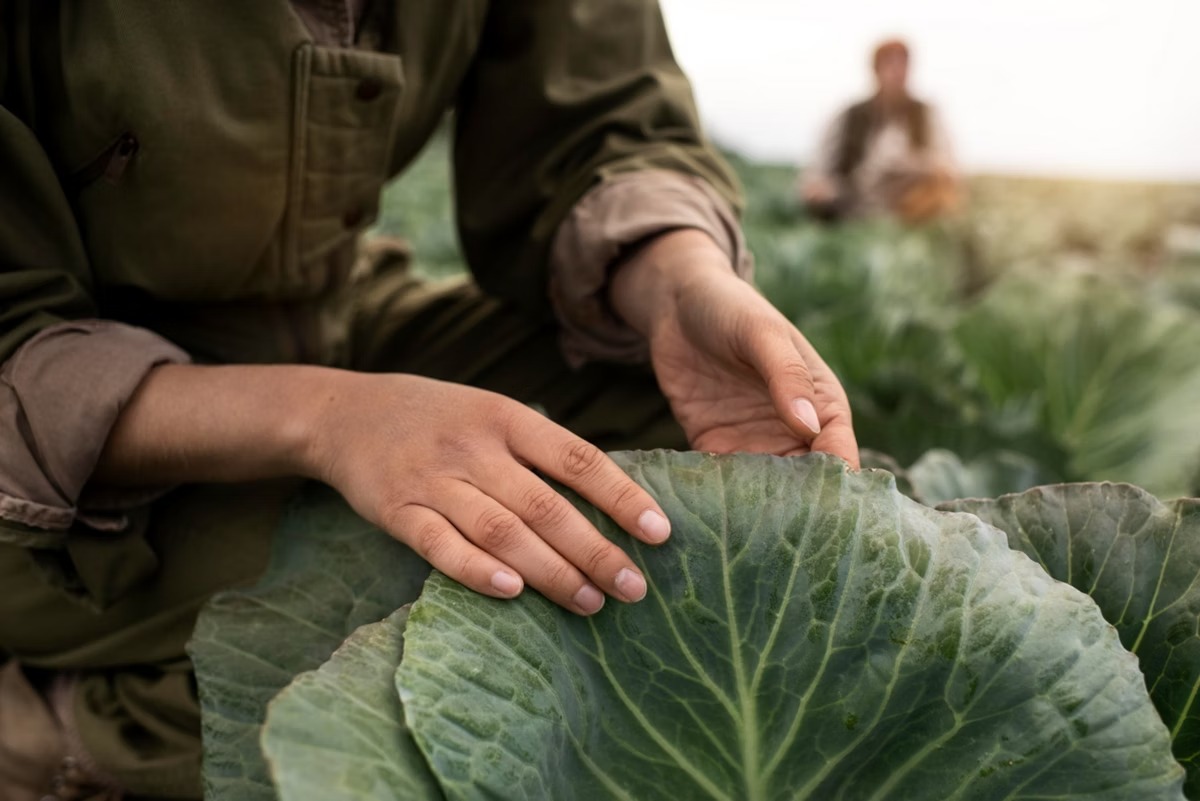 'O futuro é inevitavelmente do vegetarianismo'